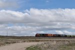 CN 3095/3023/3800/BNSF 9621